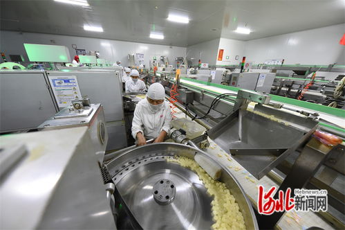 邯鄲 做優平臺,讓項目落地快發展好