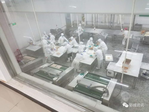 紅盾護(hù)企 食品生產(chǎn)科在行動(dòng)，保障電熔鎂生產(chǎn)安全